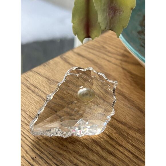 Swarovski Crystal Oyster Clam ShellWith Pearl 2.5" x 2" - Picture 6 of 8